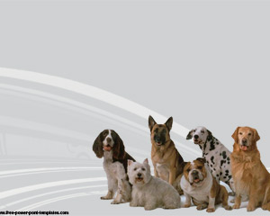 Dog Breeds Powerpoint